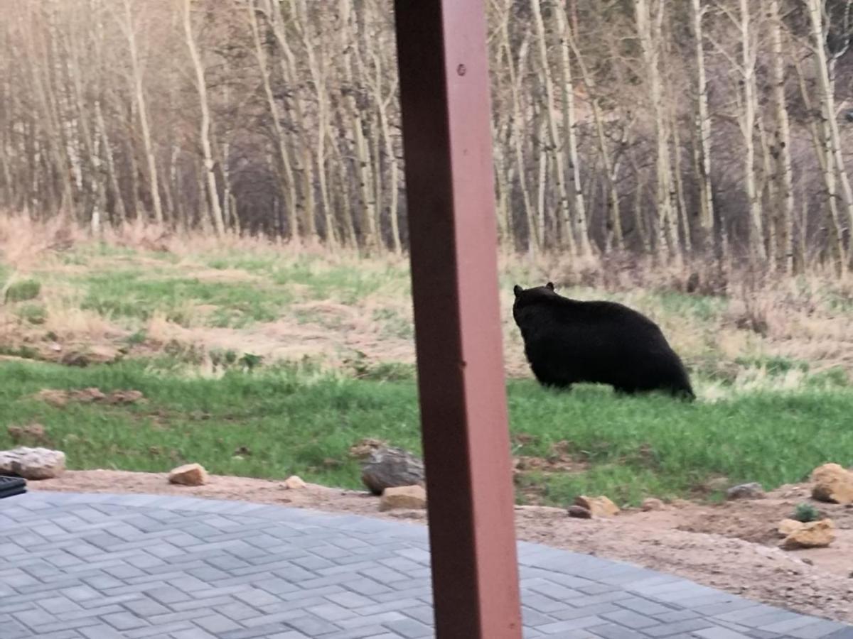 Meandering Moose Apartment Vacation Rental Black Hawk Exterior foto